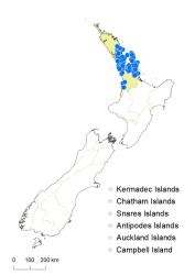 Veronica macrocarpa distribution map based on databased records at AK, CHR & WELT.
 Image: K.Boardman © Landcare Research 2022 CC-BY 4.0